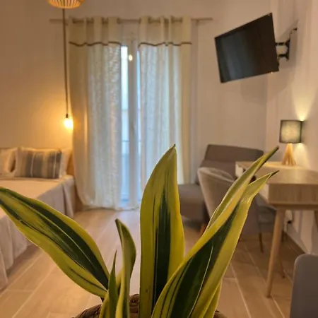 Calm Joy & J - New Bird 公寓 埃尔莫波利斯