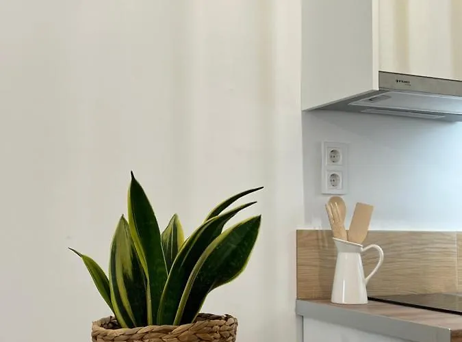 Apartamento Calm Joy & J - New Bird