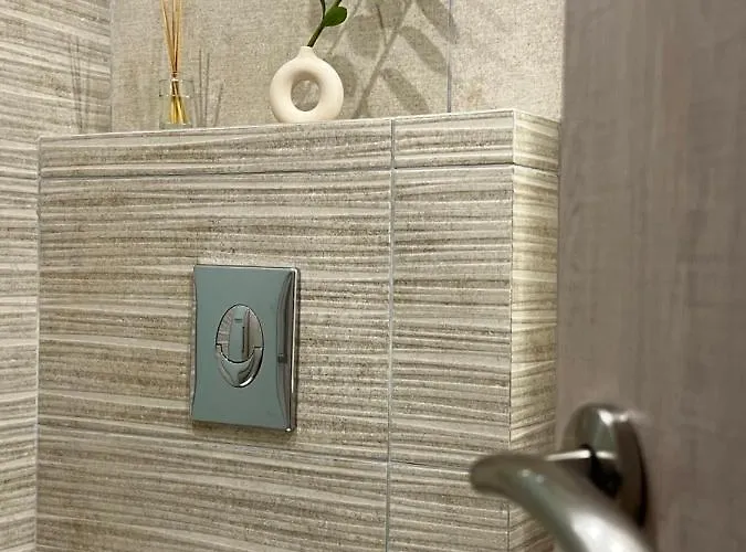 Calm Joy & J - New Bird Daire *